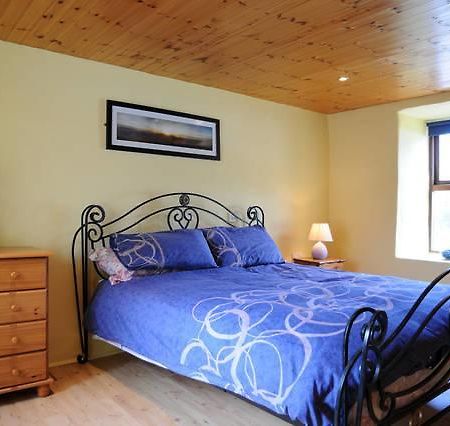 Griffins Holiday Cottage 딩글 외부 사진