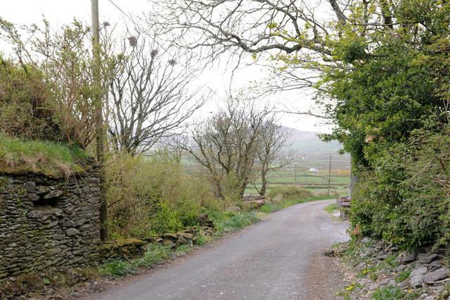 Griffins Holiday Cottage 딩글 외부 사진